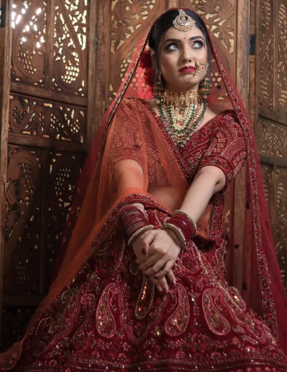 Elegant Pink Lehenga
